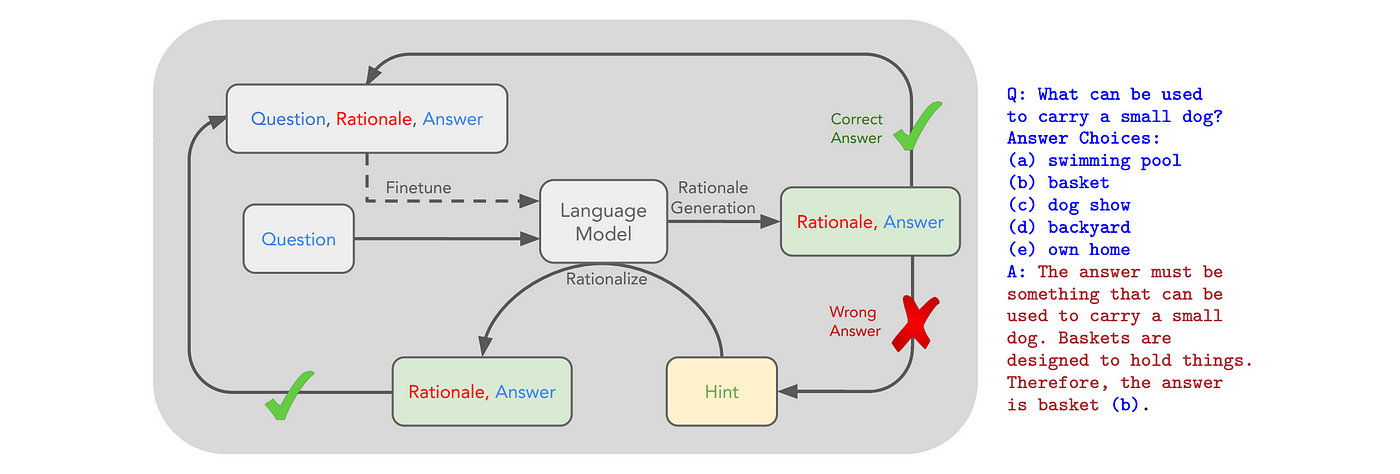 Study Project: Robustness and Reasoning in Small Language Models